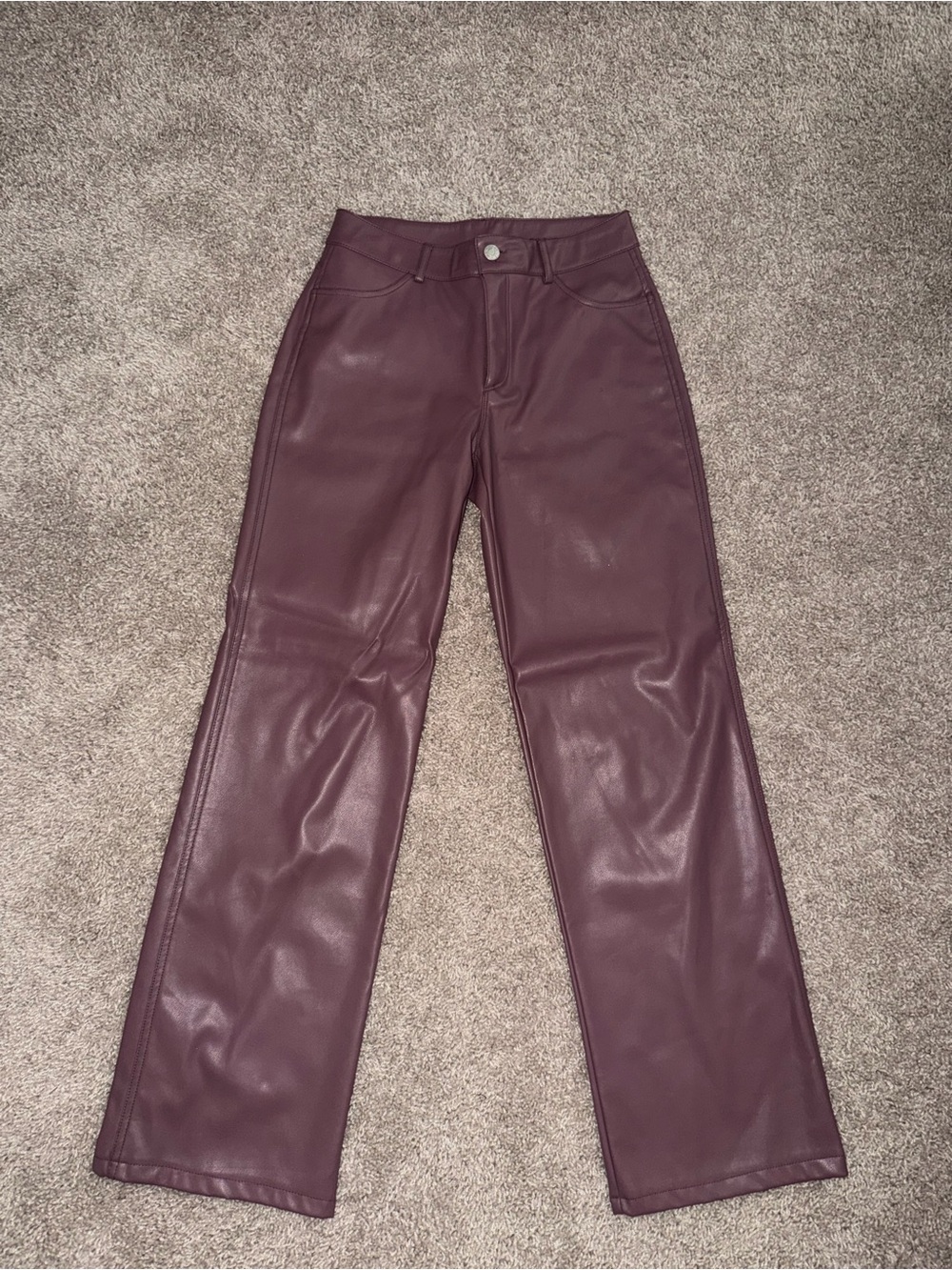Leather Pants in Purplr